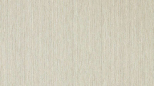 Caspian Strie 216776